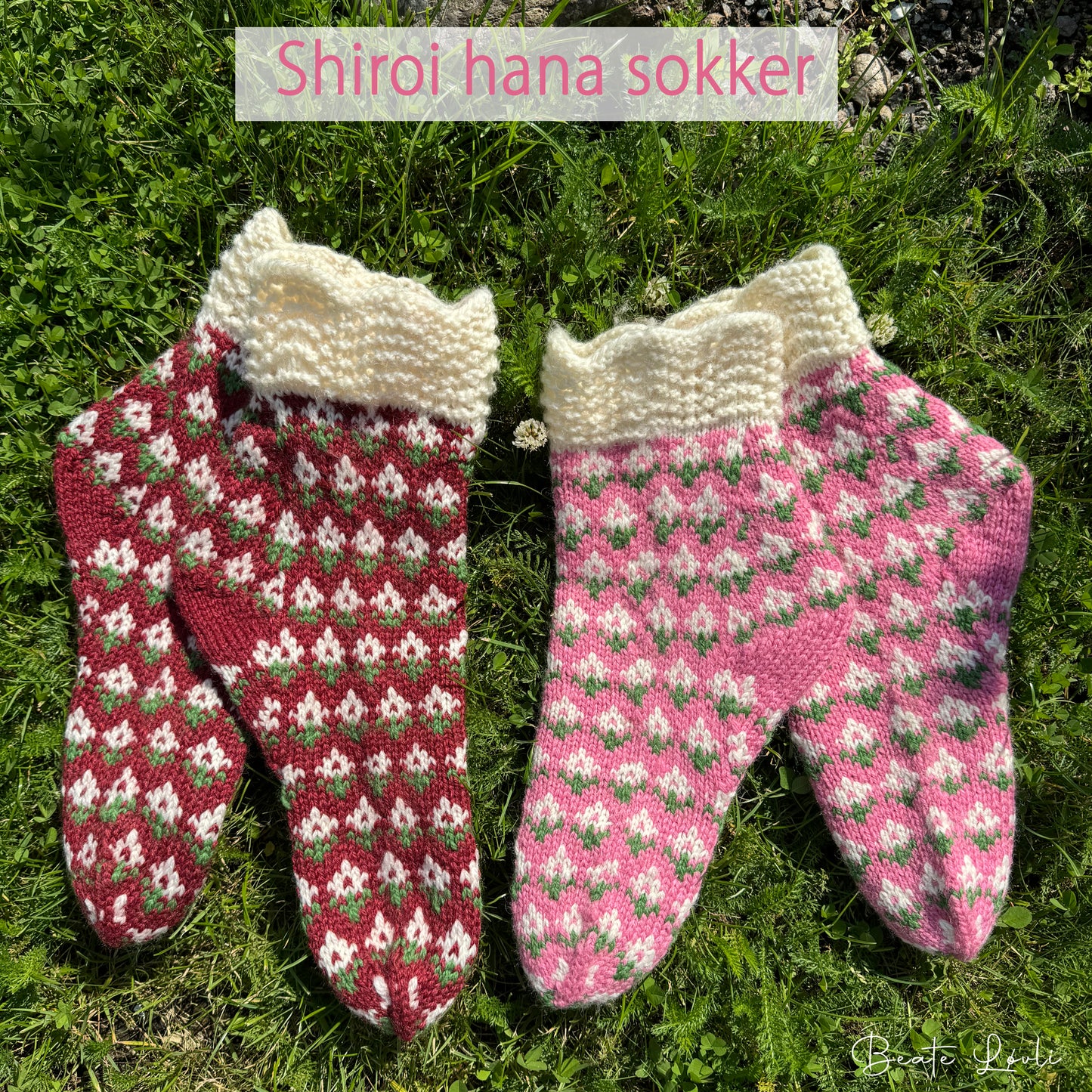 Shiroi hana sokker